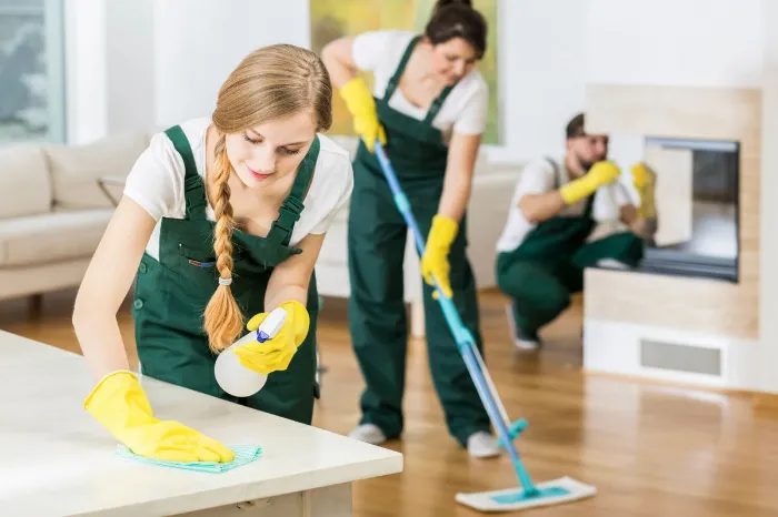 Deep, Regular, and Standard Cleaning
