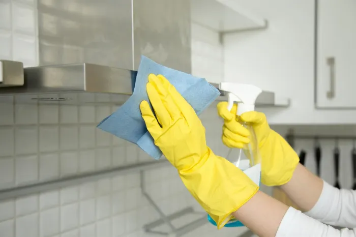 Regular House Cleaning Services in Beverly Hills